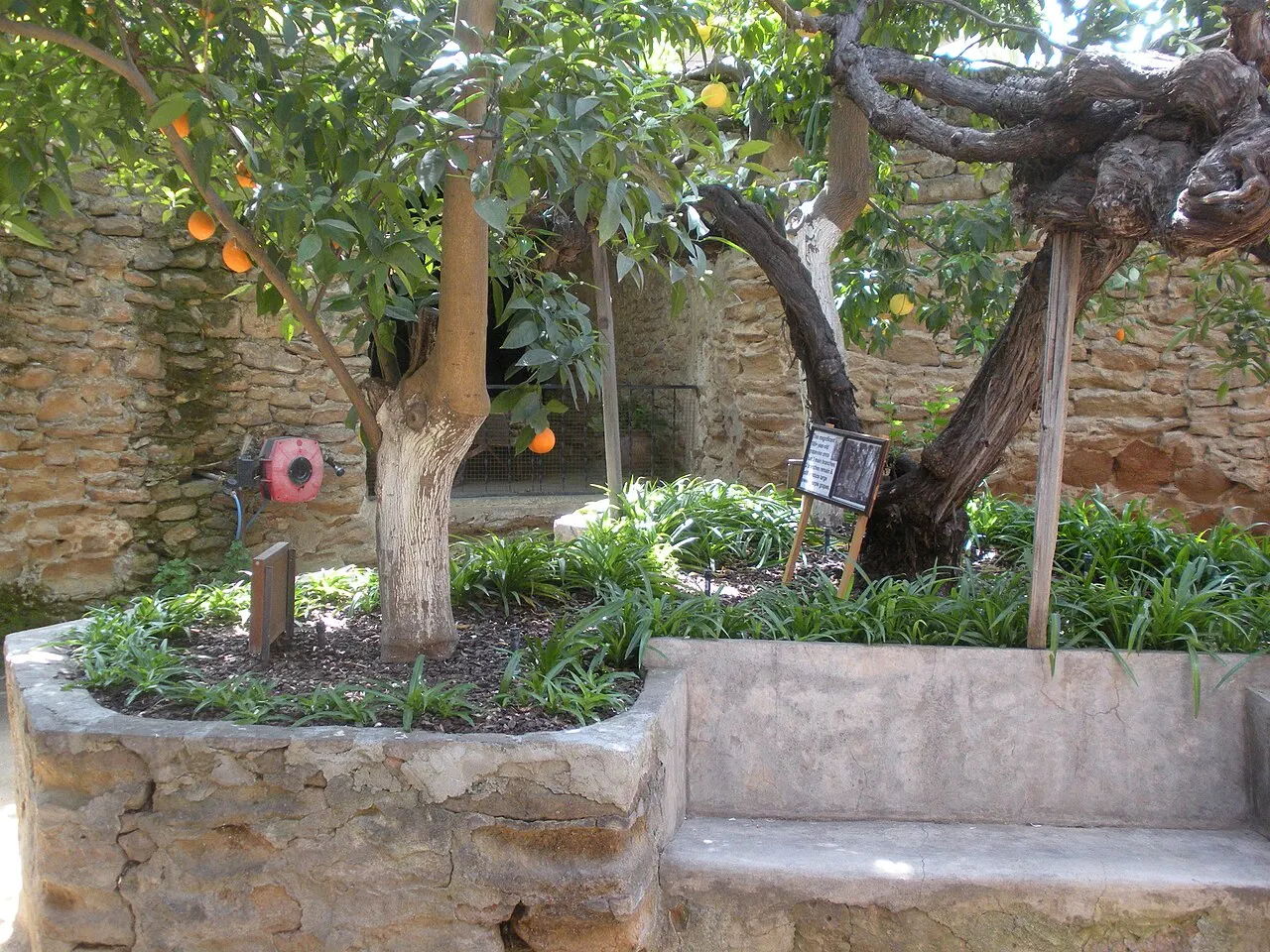 Forestiere Underground Gardens, Fresno, California, United States