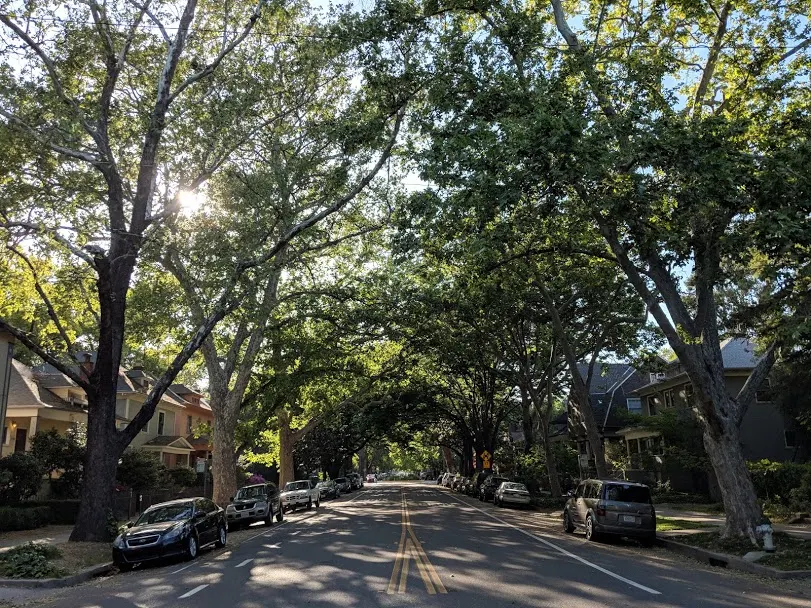 Midtown Sacramento, Sacramento, California, United States