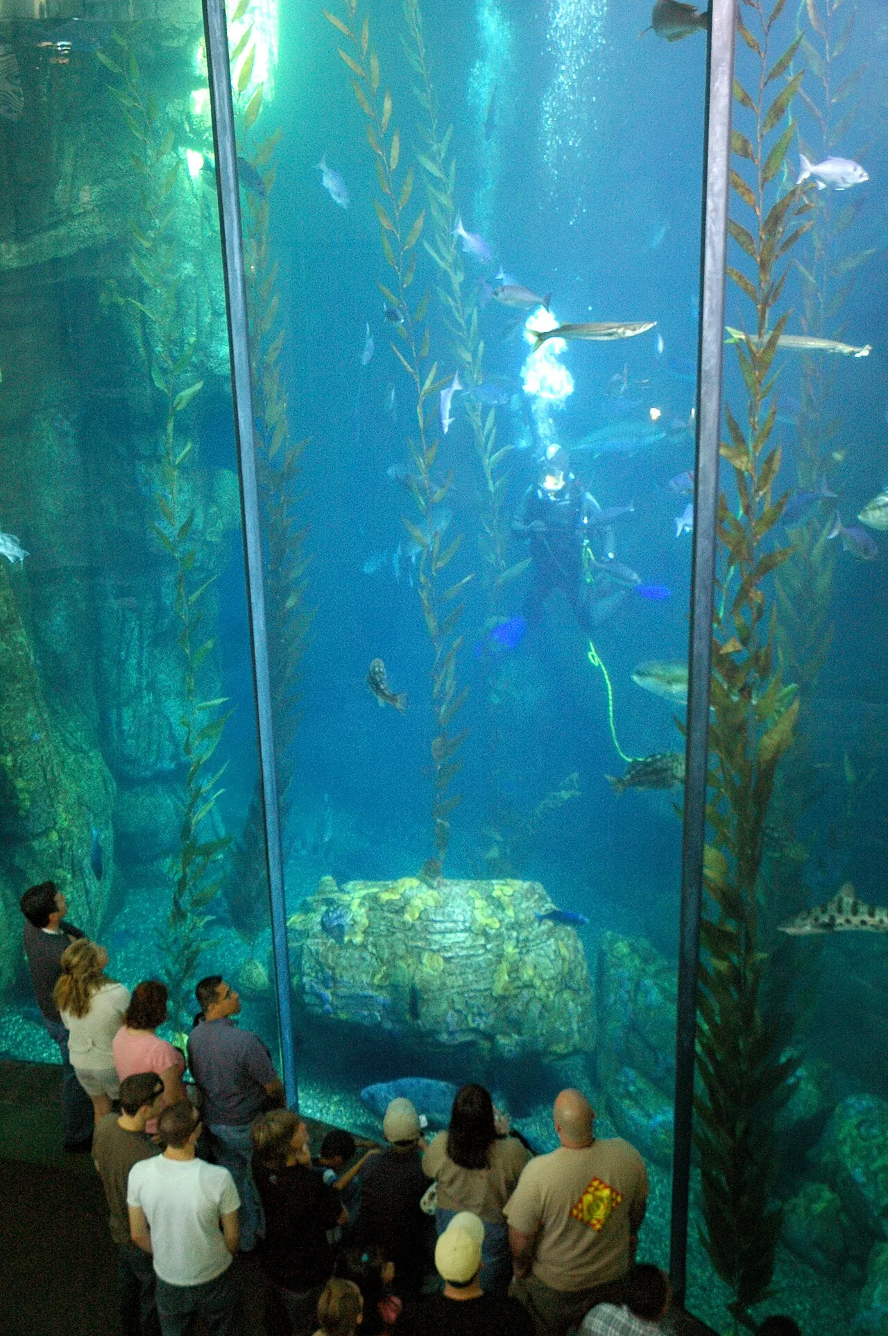 Aquarium of the Pacific, Long Beach, California, United States