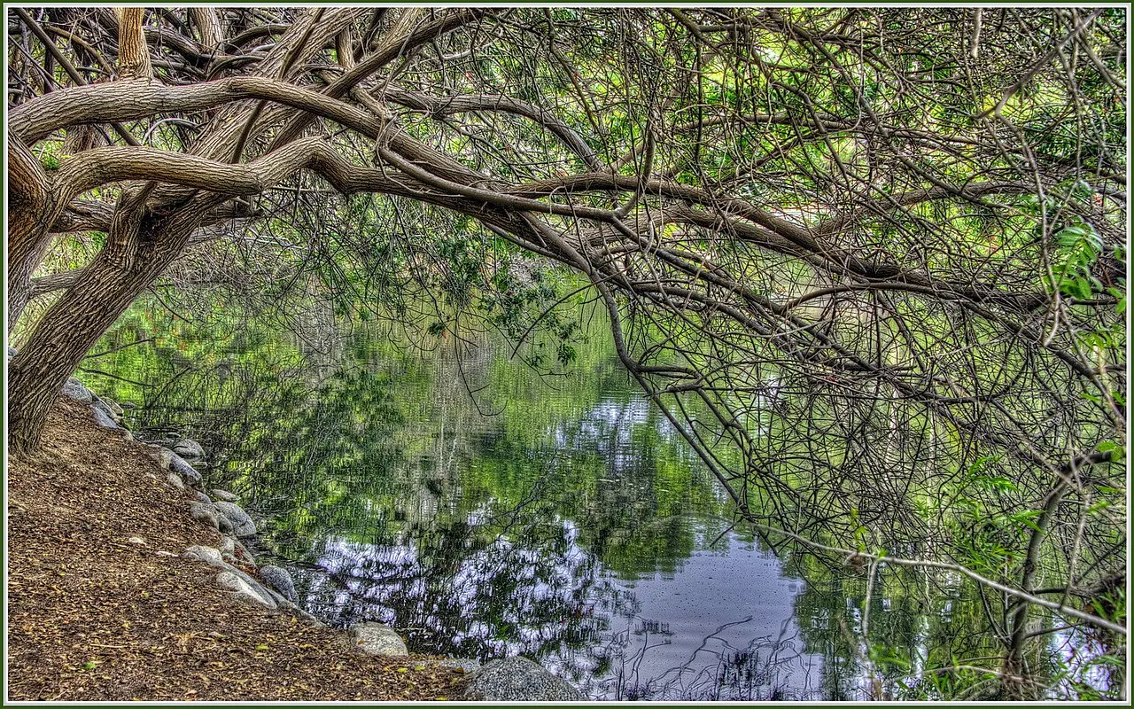 El Dorado Nature Center, Long Beach, California, United States