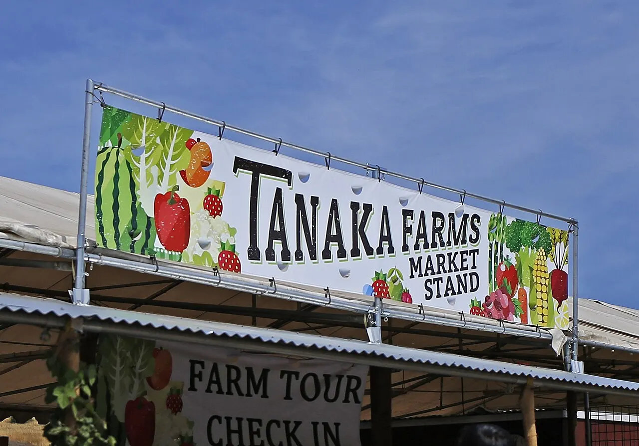 Tanaka Farms, Irvine, California, United States