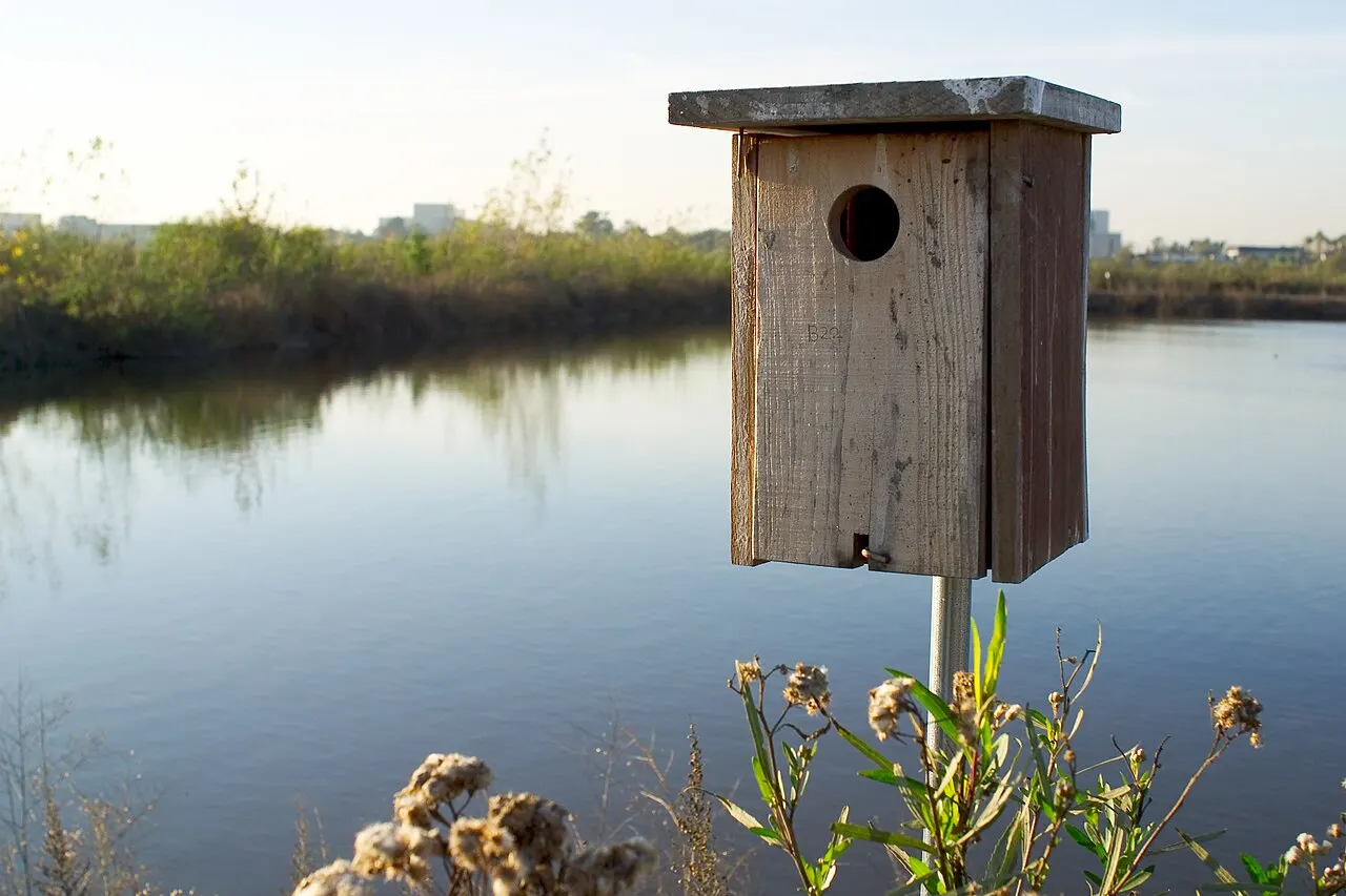 San Joaquin Wildlife Sanctuary, Irvine, California, United States