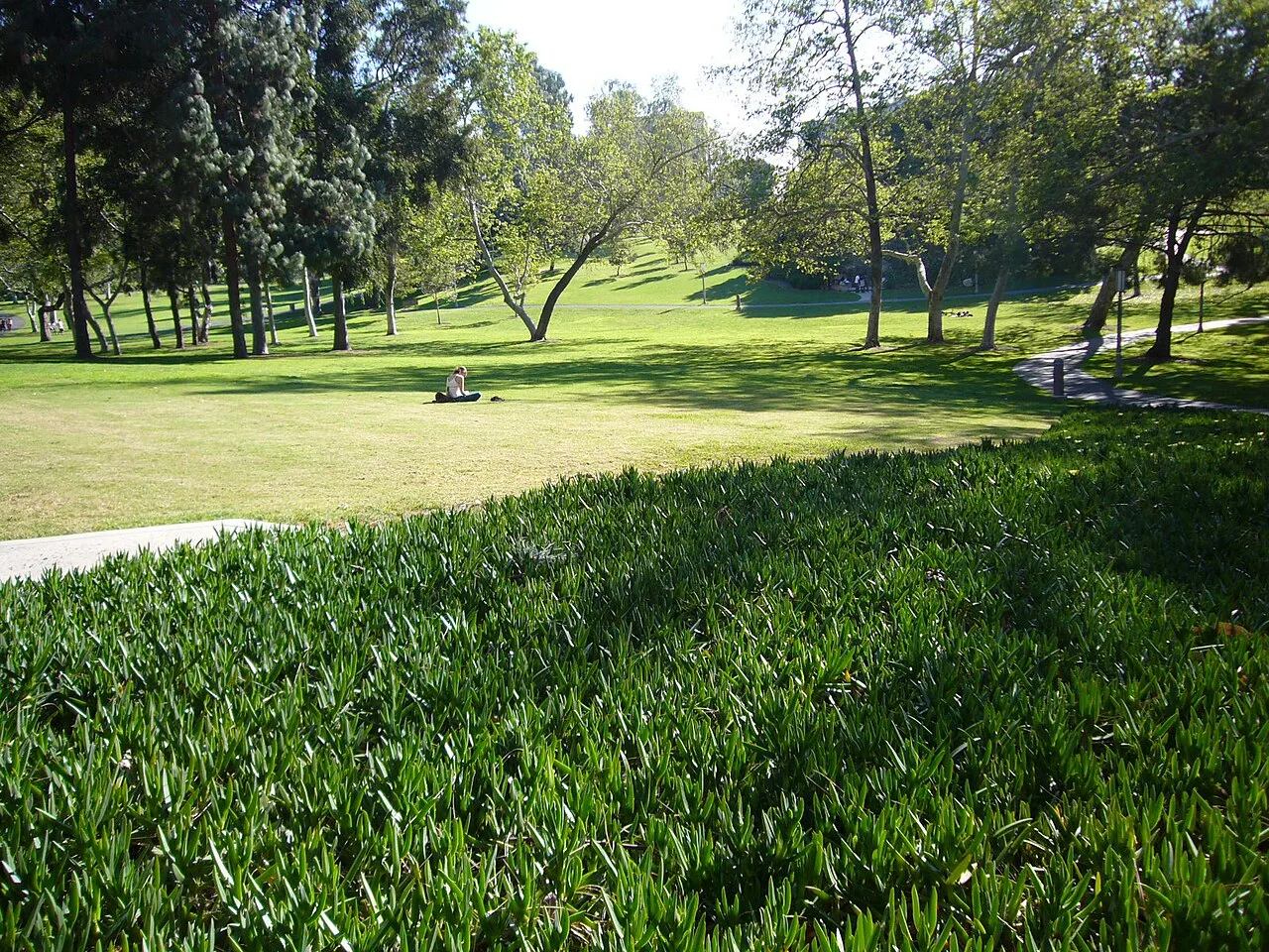 University of California, Irvine, Irvine, California, United States