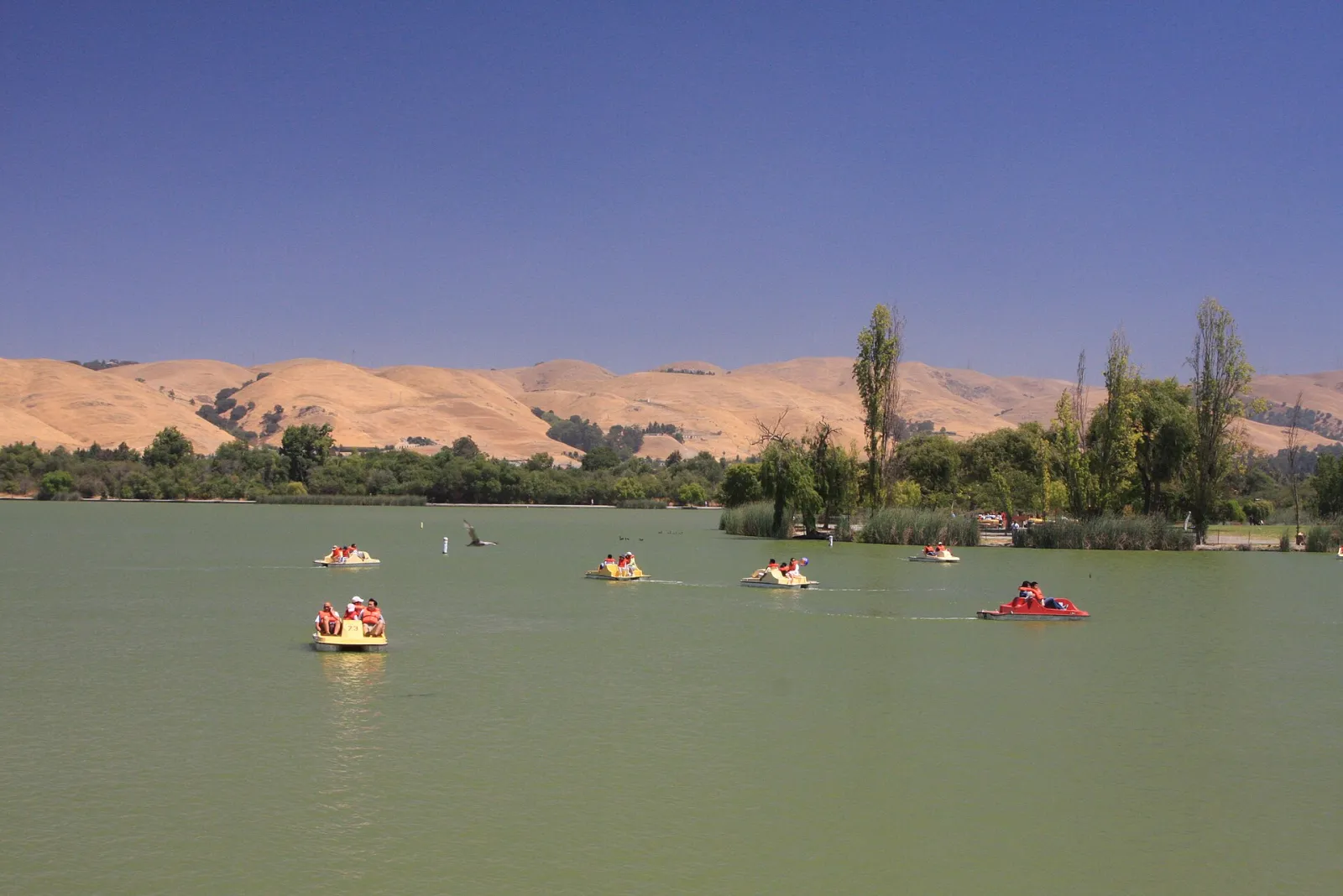 Fremont, California, United States