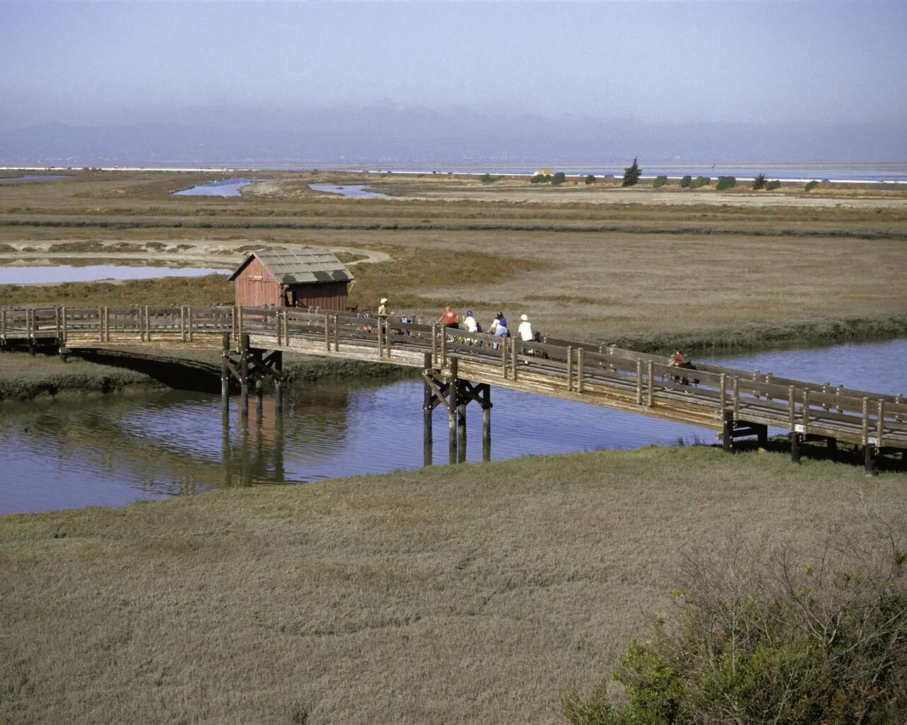 Don Edwards San Francisco Bay National Wildlife Refuge, Fremont, California, United States
