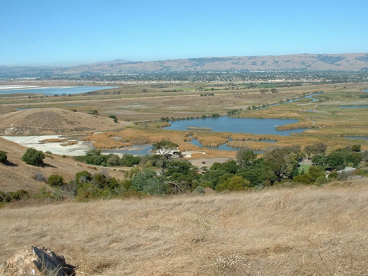 Coyote Hills Regional Park, Fremont, California, United States