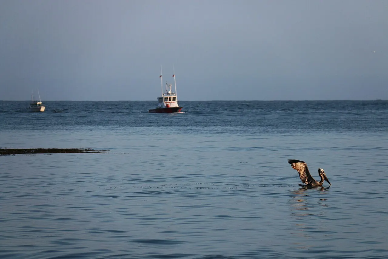 Hollywood Beach Oxnard, Oxnard, California, United States