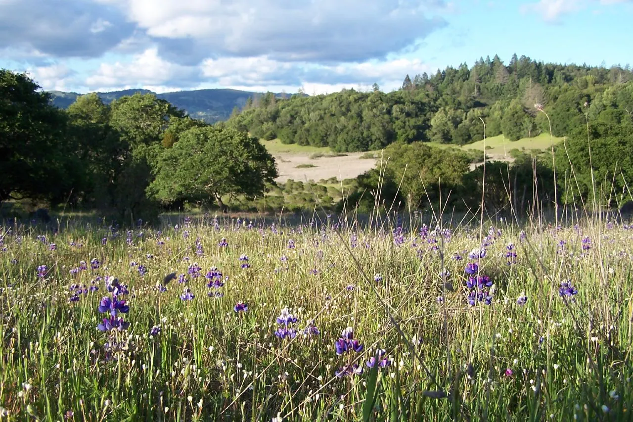 Annadel State Park, Santa Rosa, California, United States