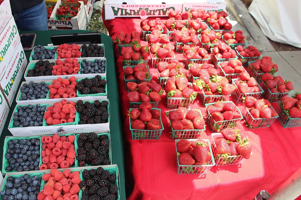 Garden Grove Strawberry Festival, Garden Grove, California, United States
