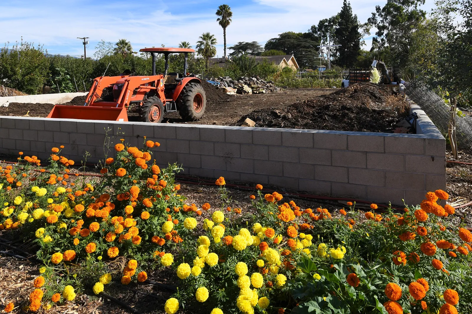 Flowers, Ontario, California