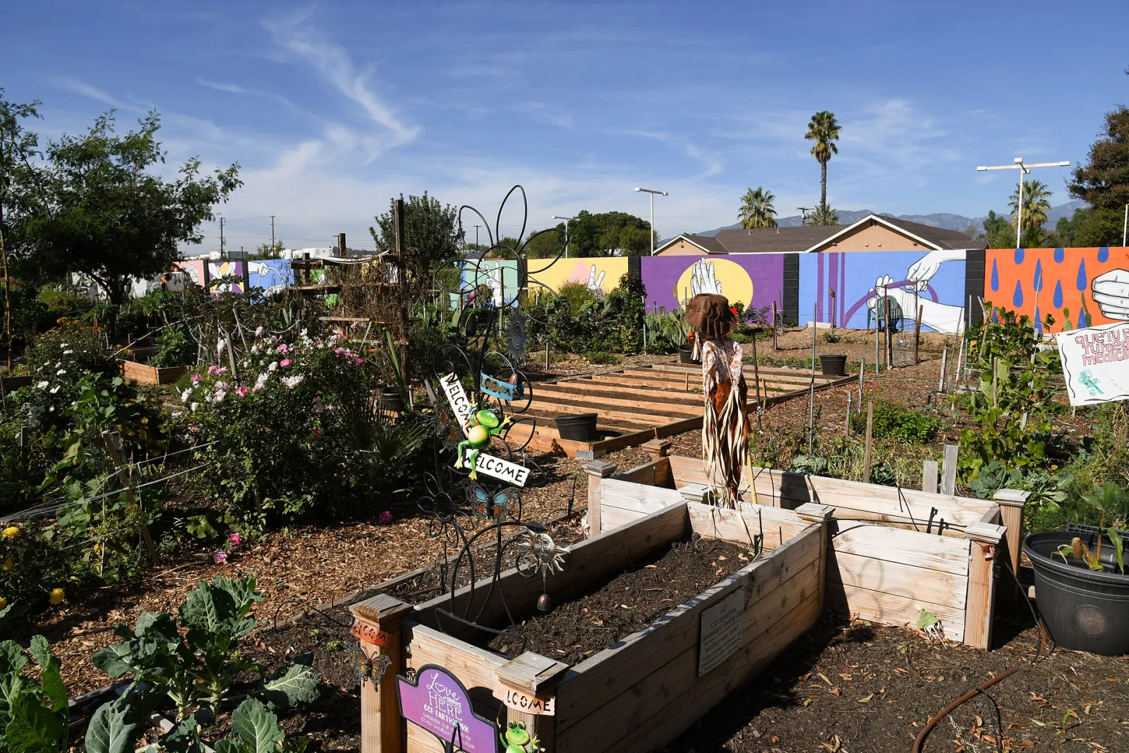 Urban Agriculture, Ontario, California