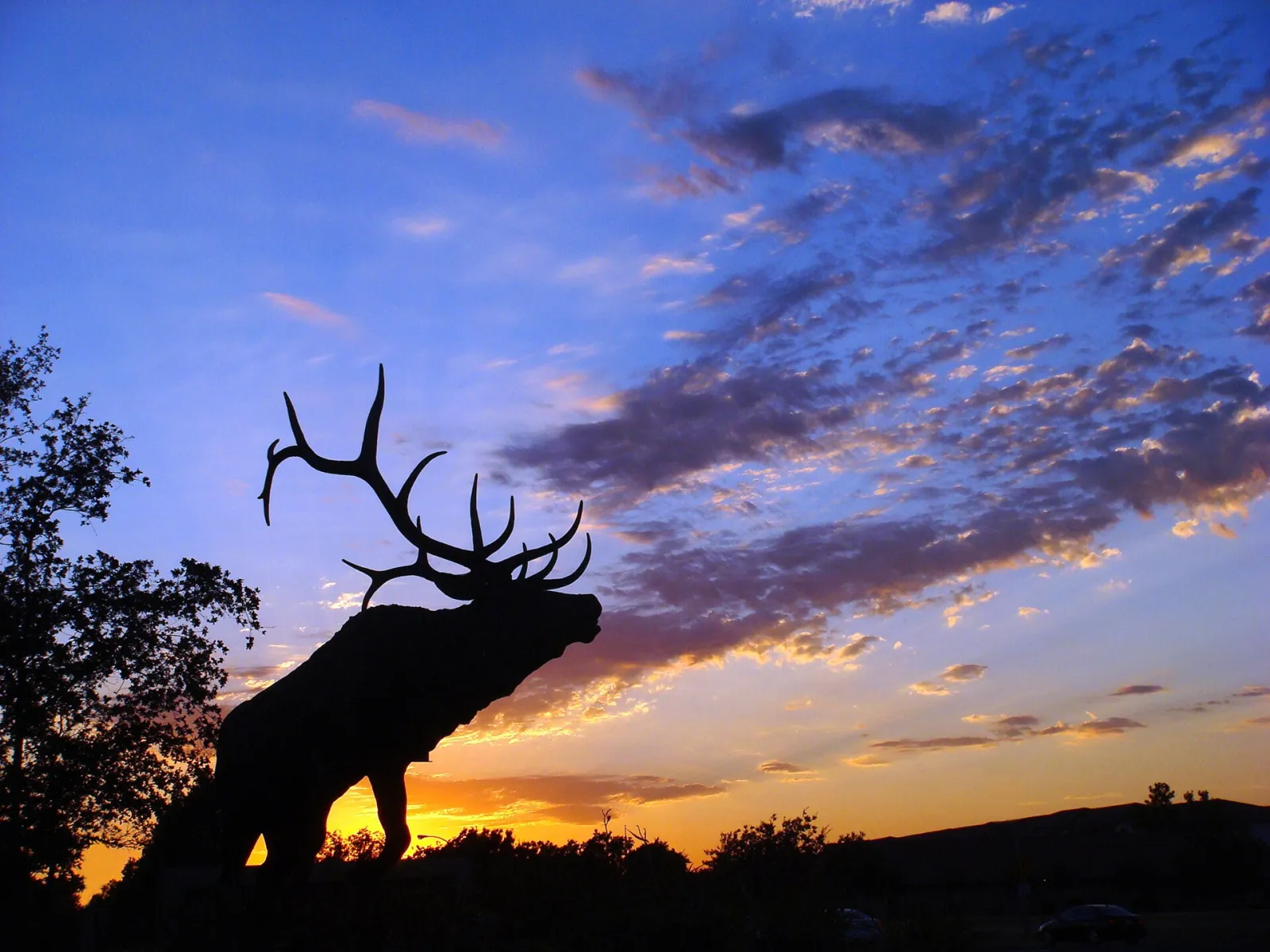 Elk Grove, California, United States