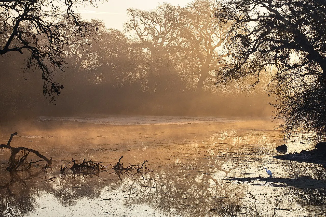 Cosumnes River Preserve, Elk Grove, California, United States