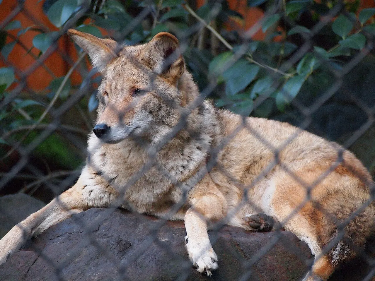 Sulphur Creek Nature Center, Hayward, California, United States
