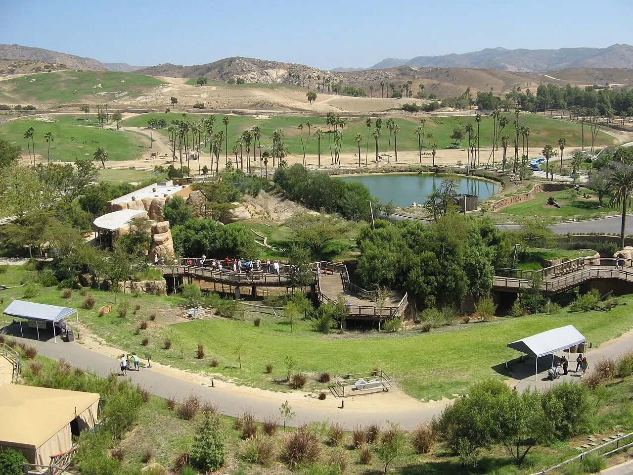 San Diego Zoo Safari Park, Escondido, California, United States
