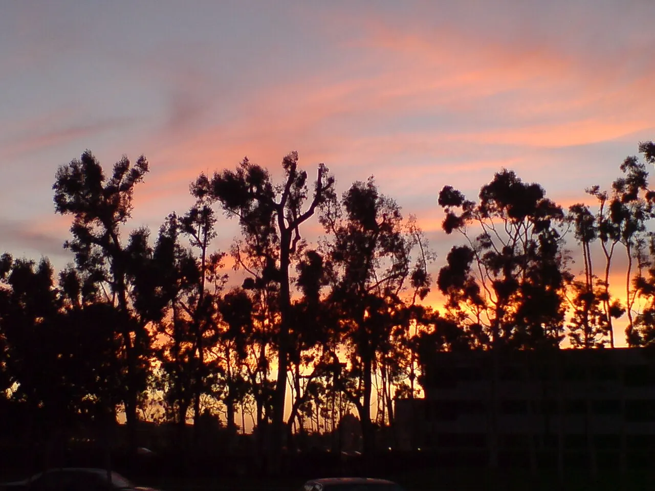 Wilson Park Torrance, Torrance, California, United States