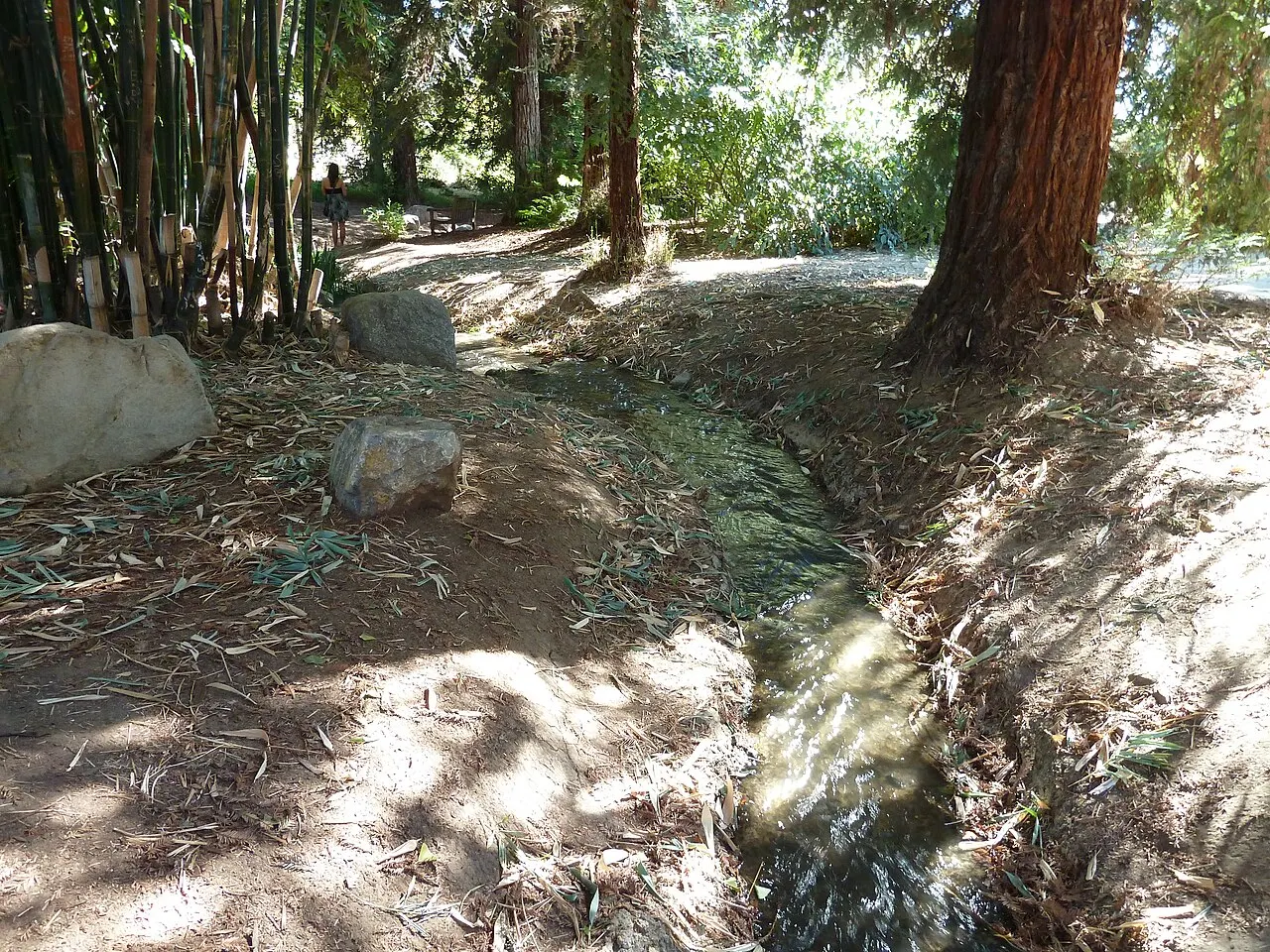 Fullerton Arboretum, Fullerton, California, United States