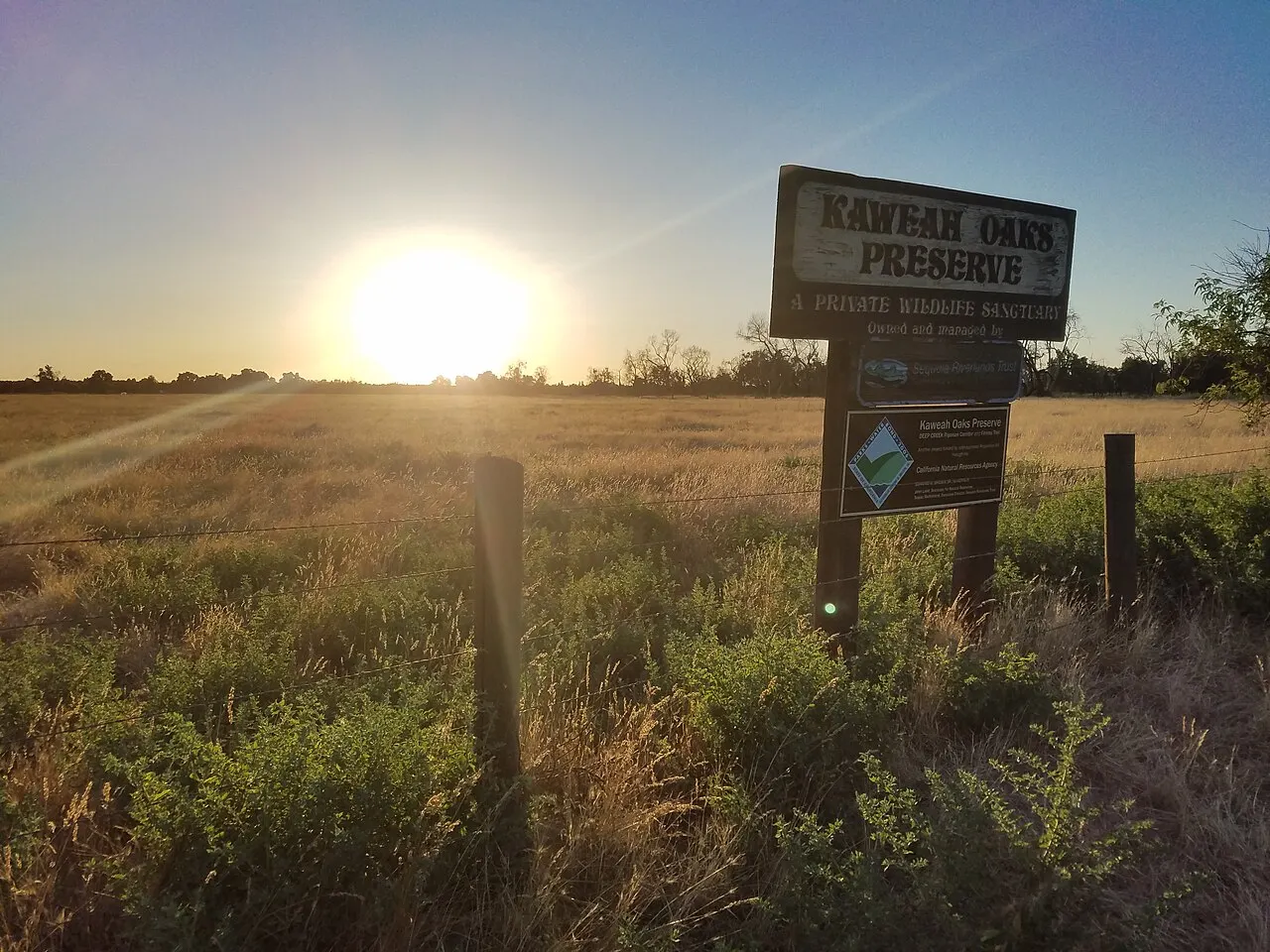 Kaweah Oaks Preserve, Visalia, California, United States
