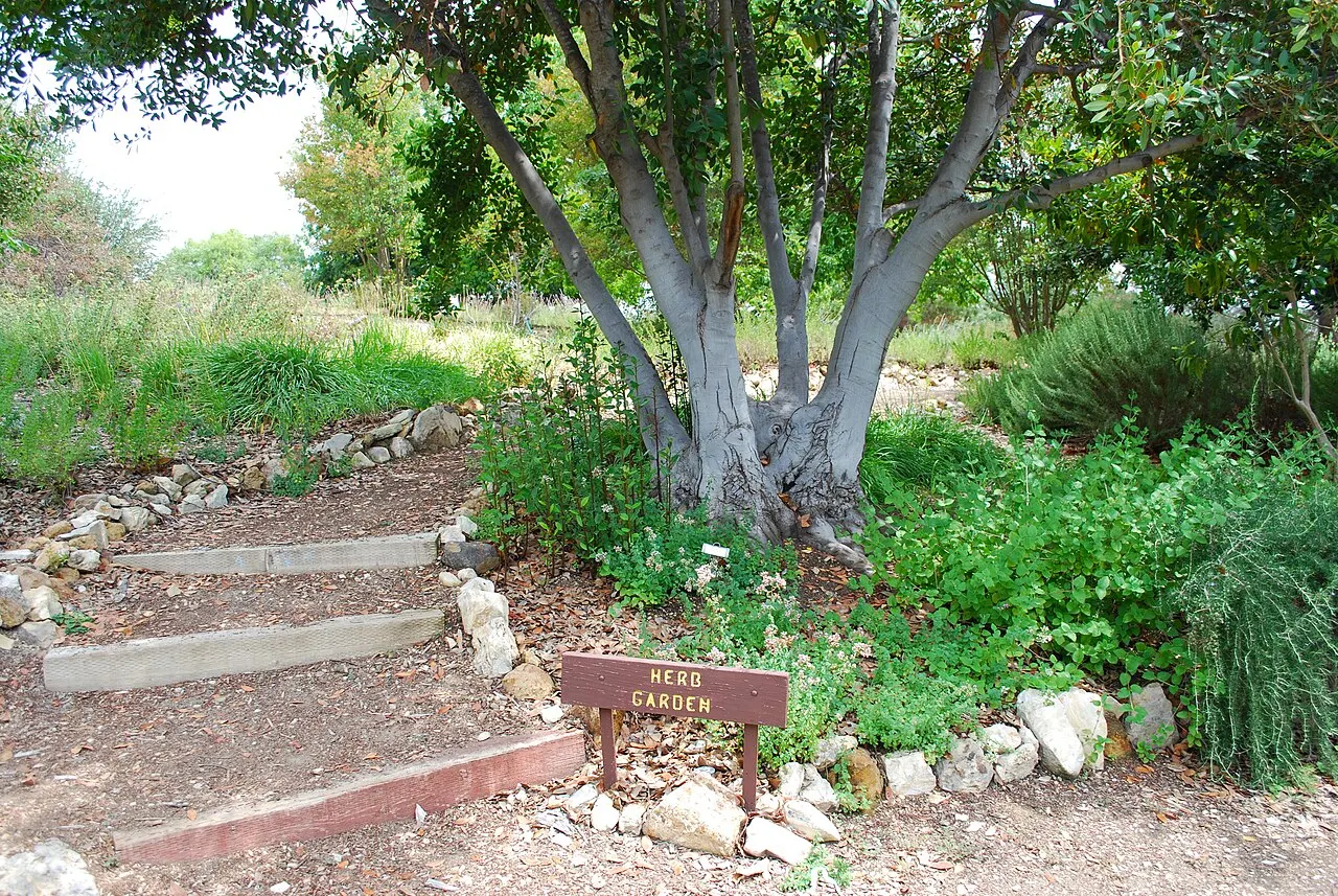 Conejo Valley Botanic Garden, Thousand Oaks, California, United States