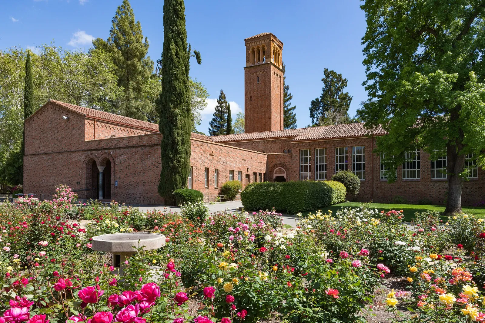 Chico, California, United States