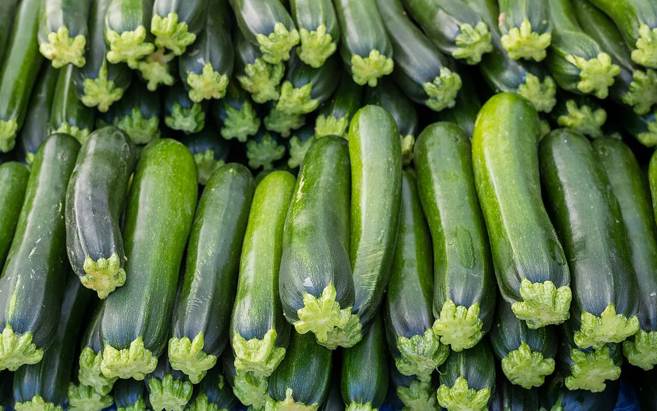 Chico Saturday Farmers Market, Chico, California, United States