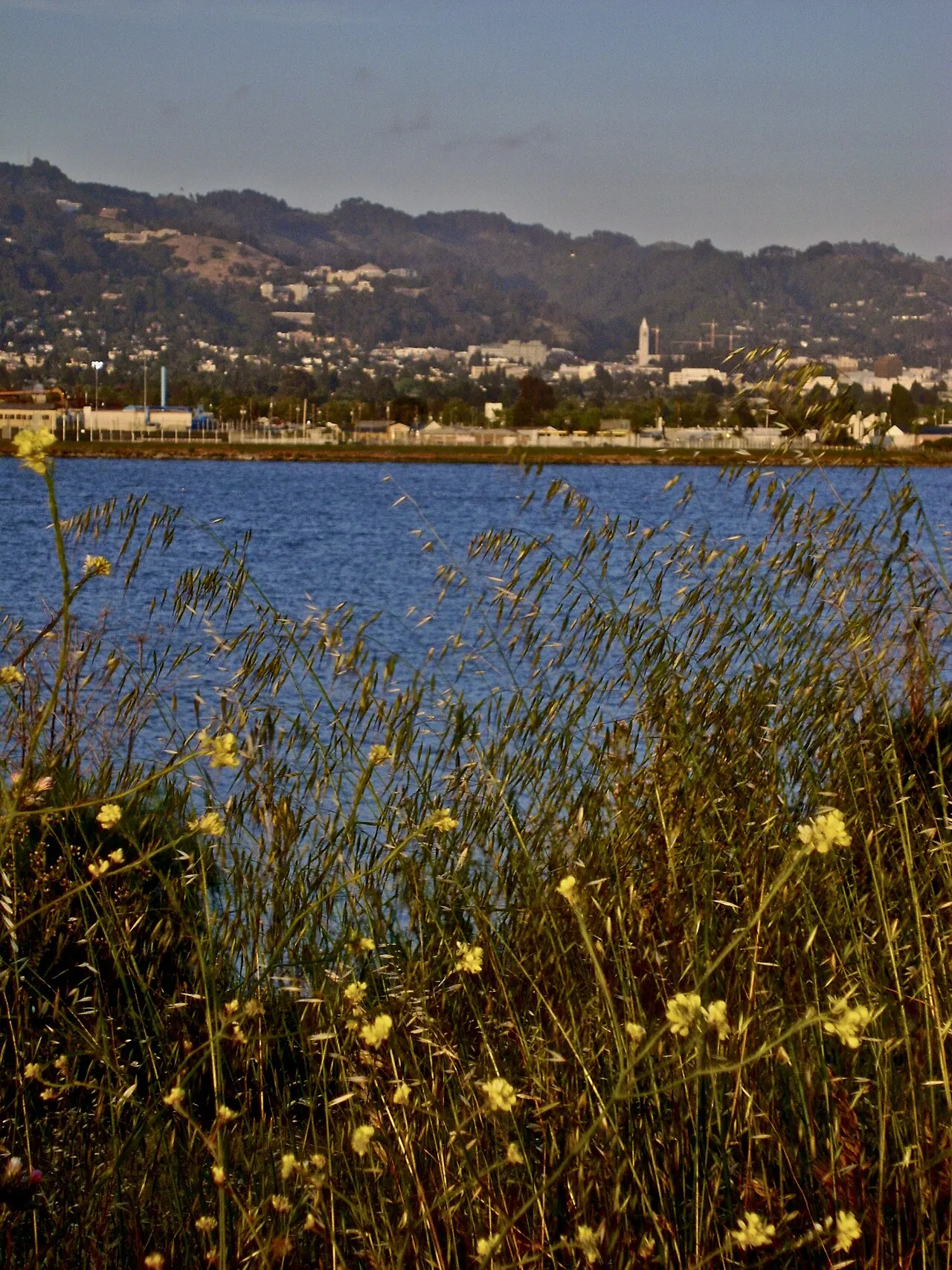 Berkeley Marina, Berkeley, California, United States