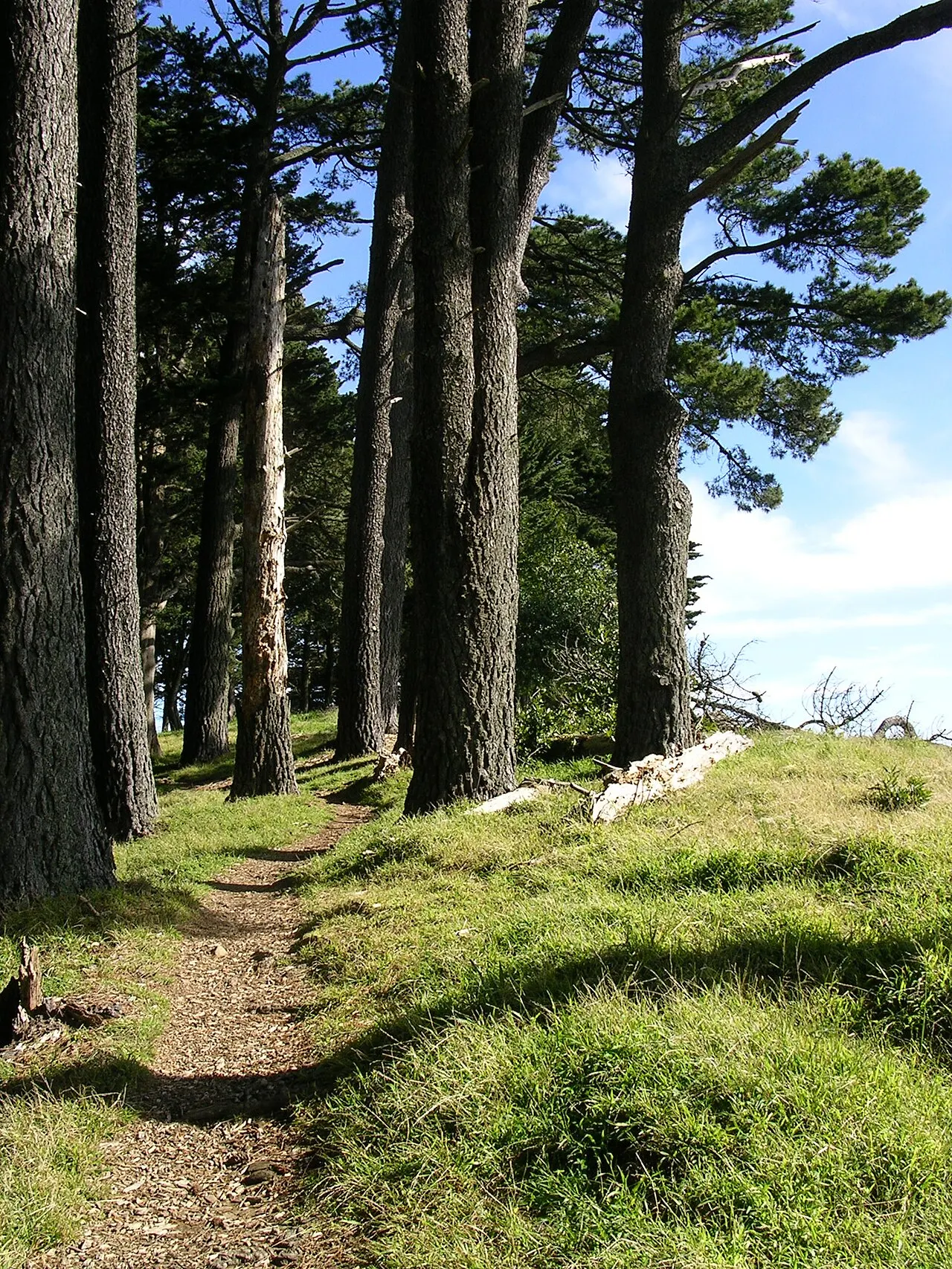 Tilden Regional Park, Berkeley, California, United States