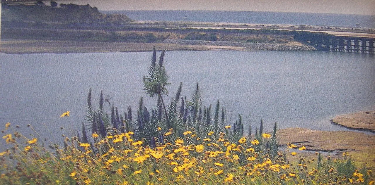 Batiquitos Lagoon, Carlsbad, California, United States