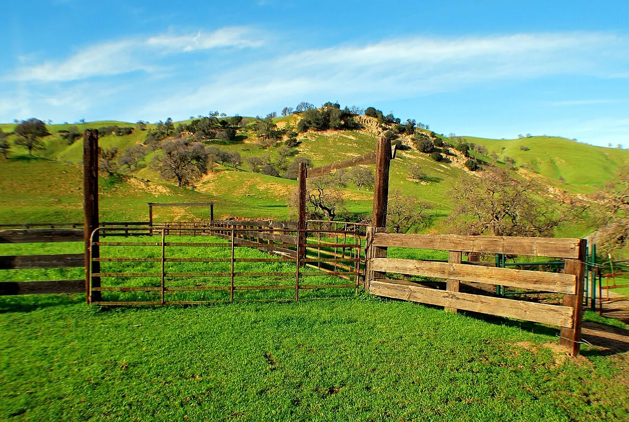 Black Diamond Mines Regional Preserve, Antioch, California, United States