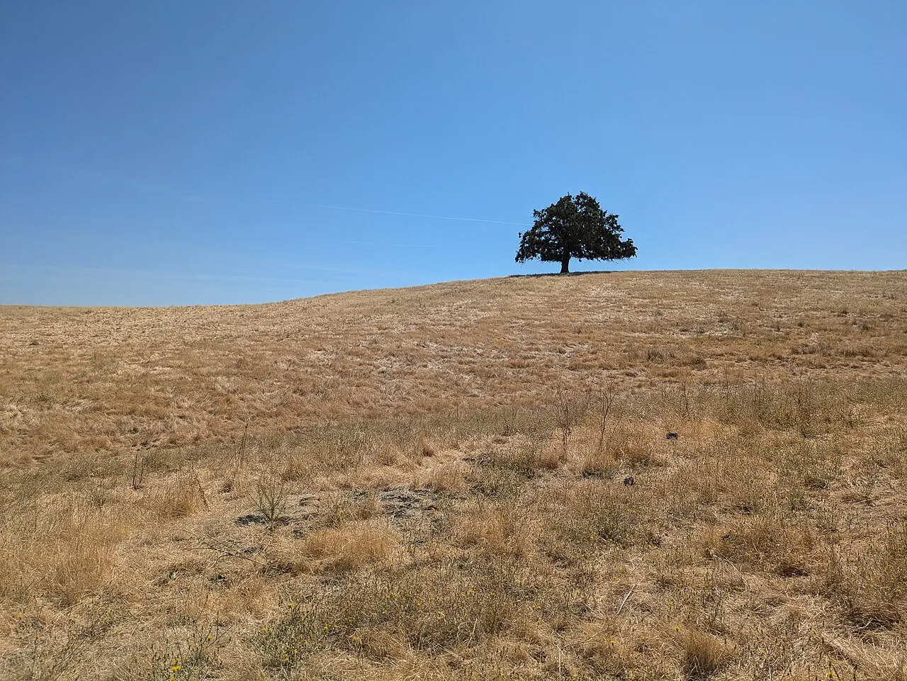 Contra Loma Regional Park, Antioch, California, United States