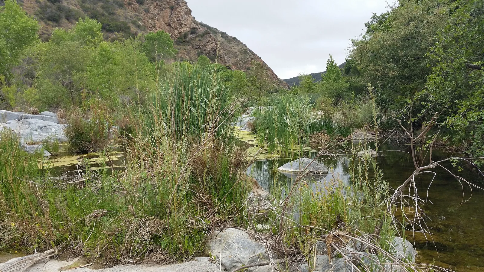 Santa Margarita River 1, Temecula, California