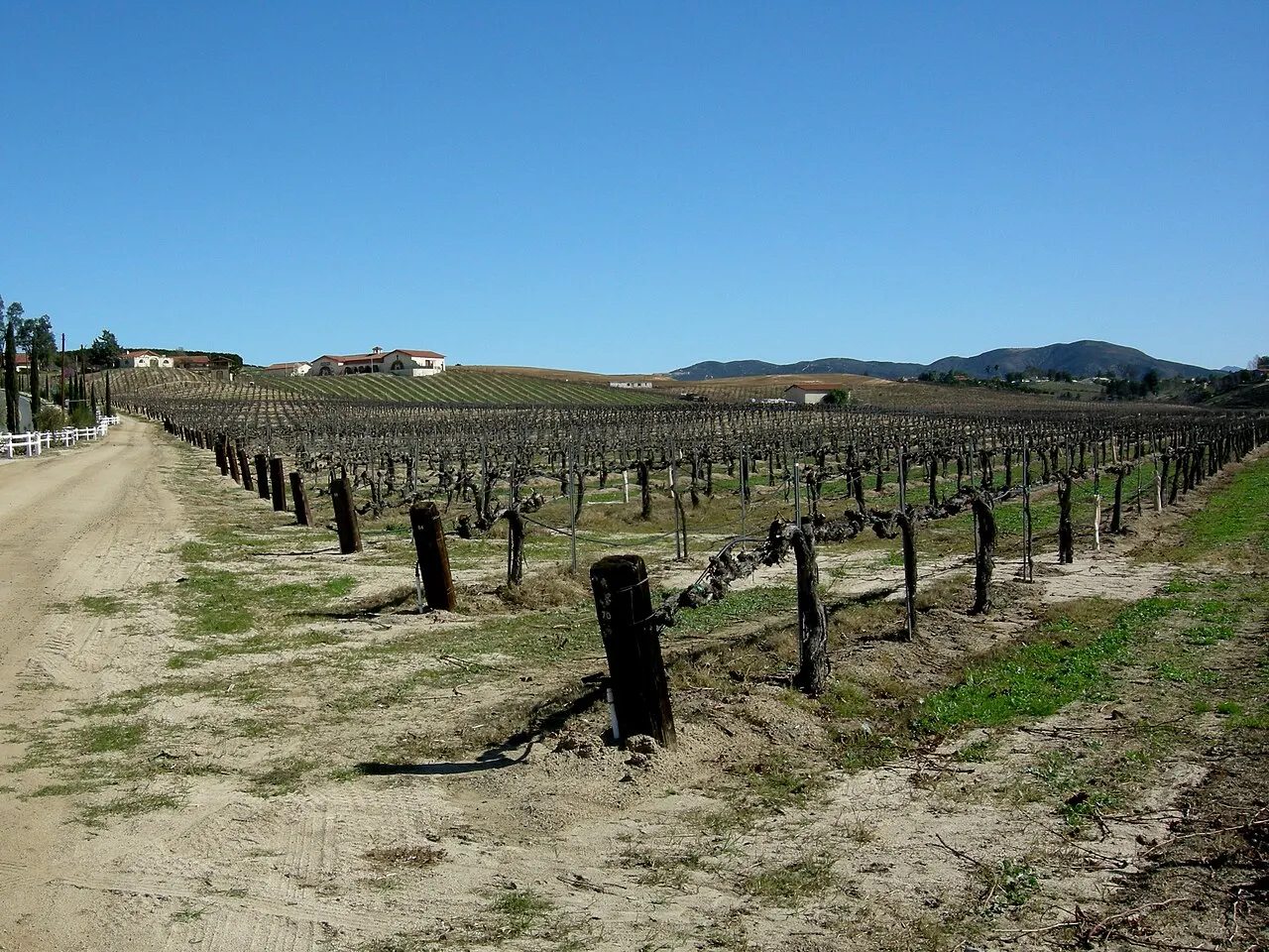 Temecula Valley Wine Country, Temecula, California, United States