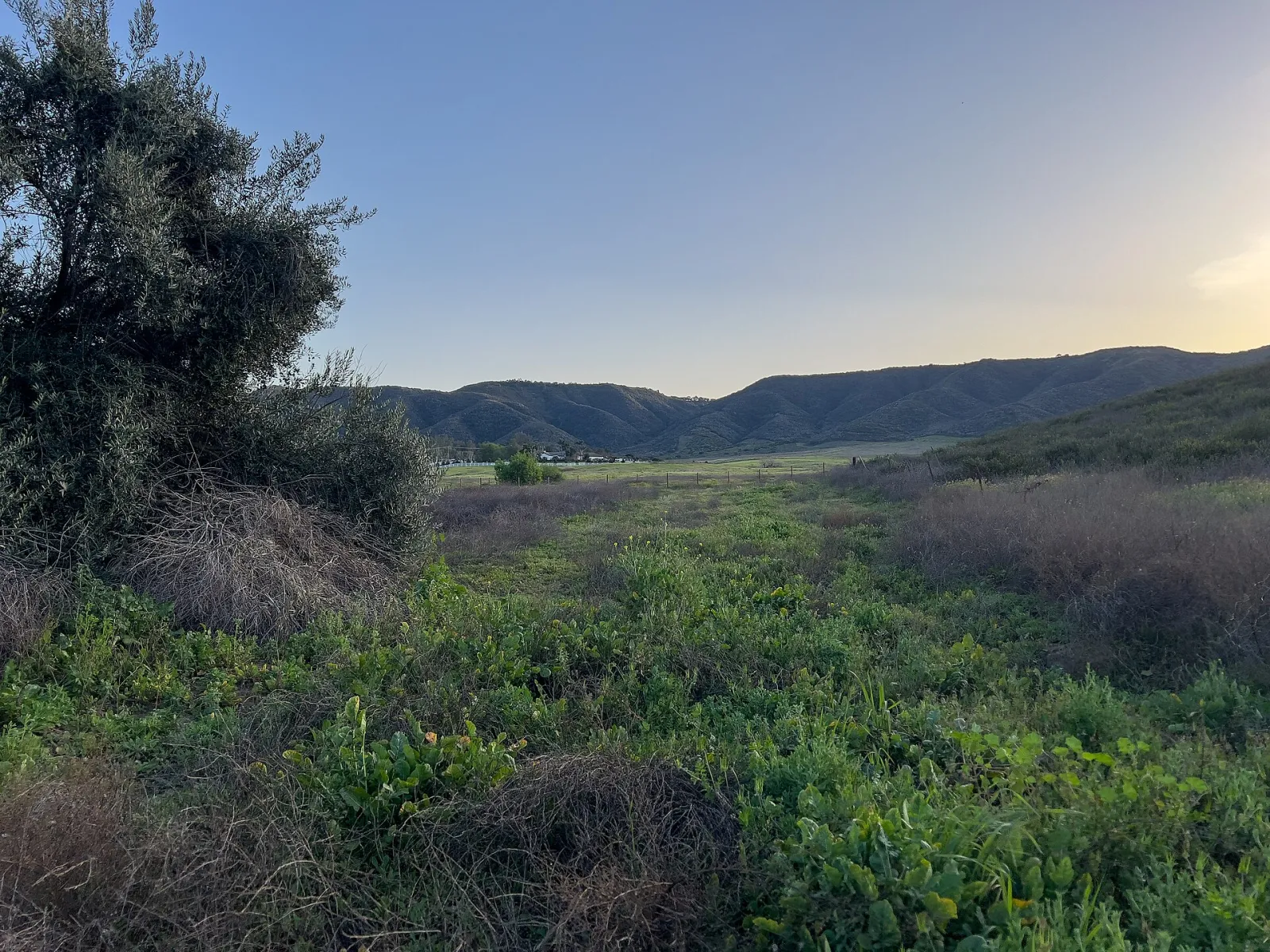 Remote View of Santa Rosa Plateau from Murrieta, CA, California