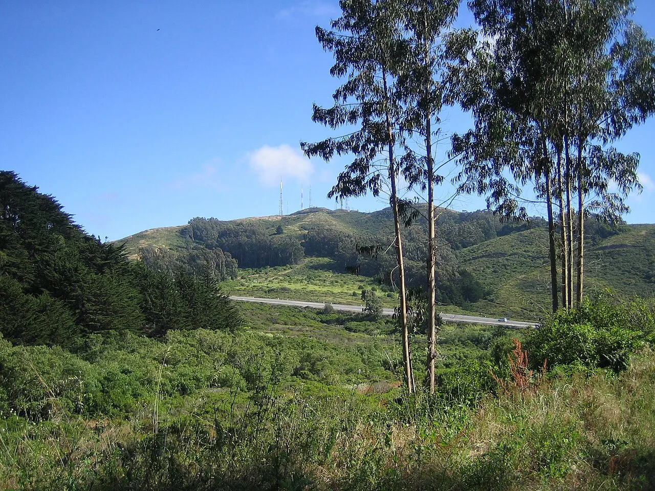 San Bruno Mountain State Park, Daly City, California, United States