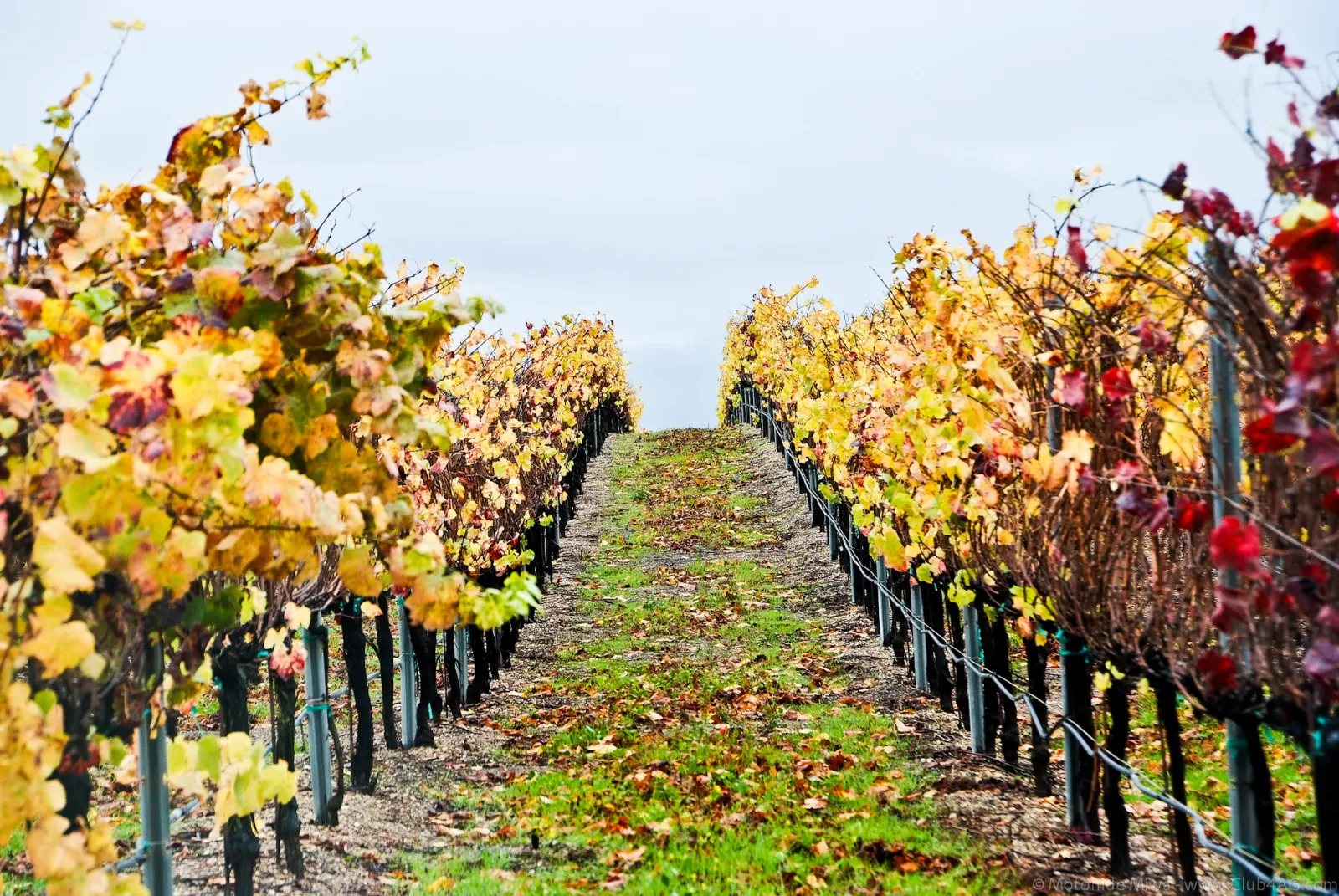Santa Maria, California, United States