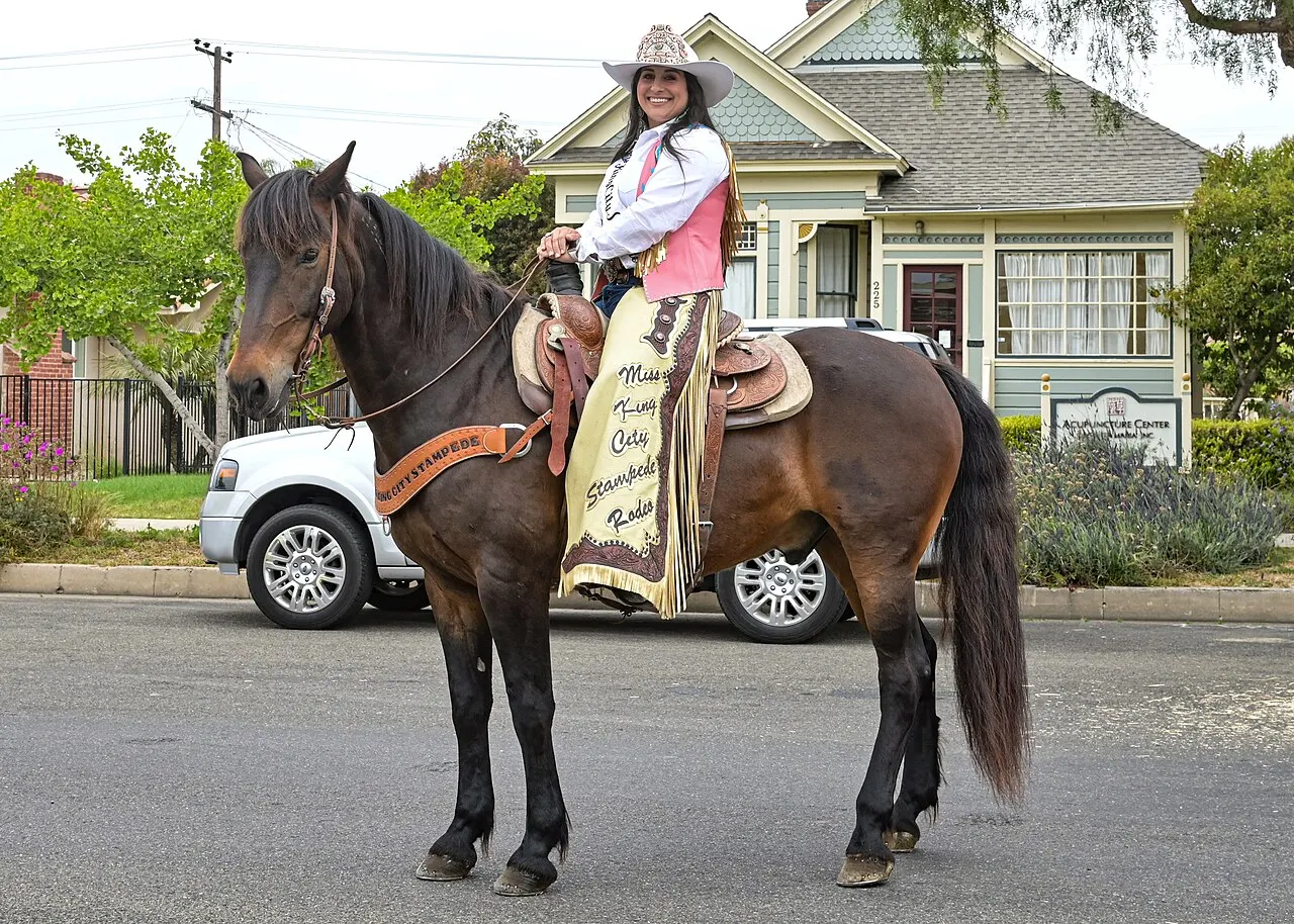 Santa Maria Elks Rodeo, Santa Maria, California, United States