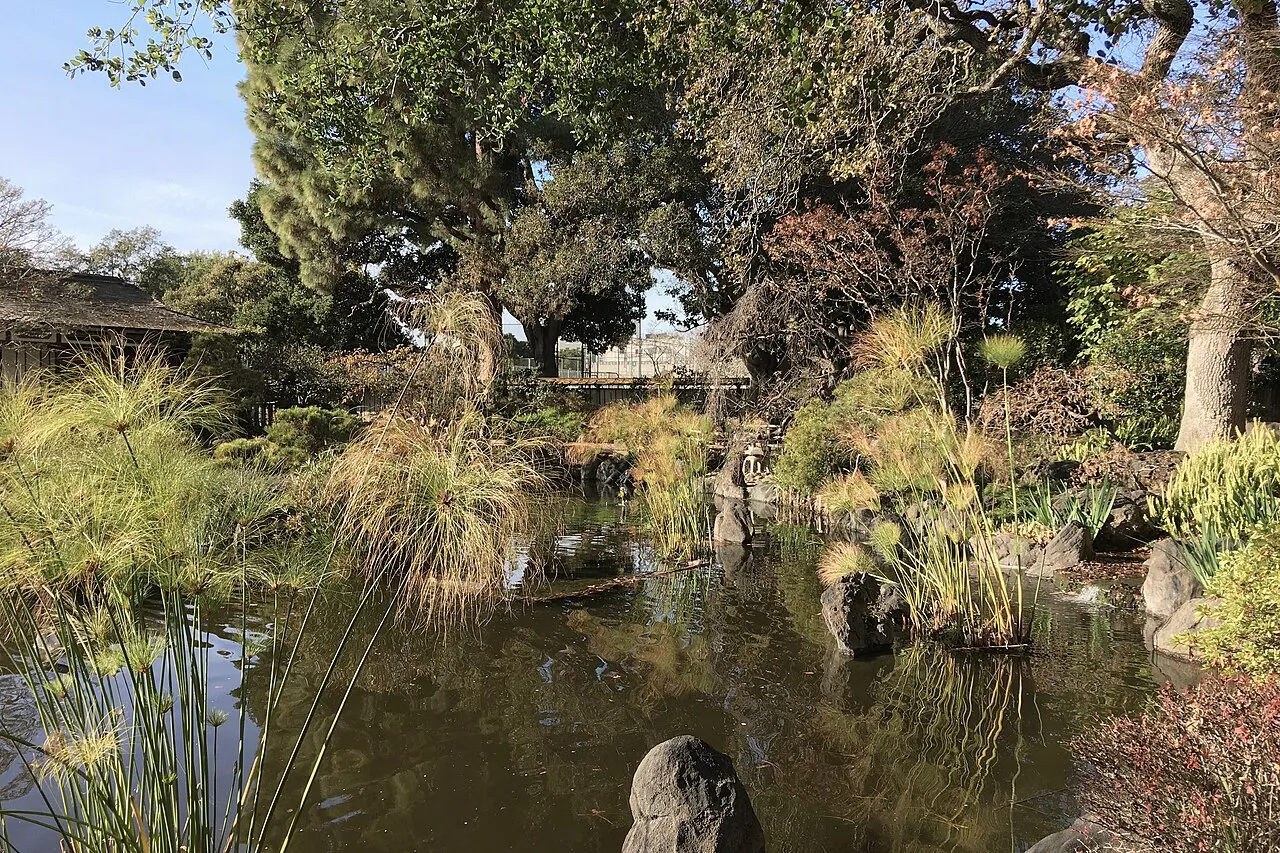 San Mateo Japanese Garden, San Mateo, California, United States