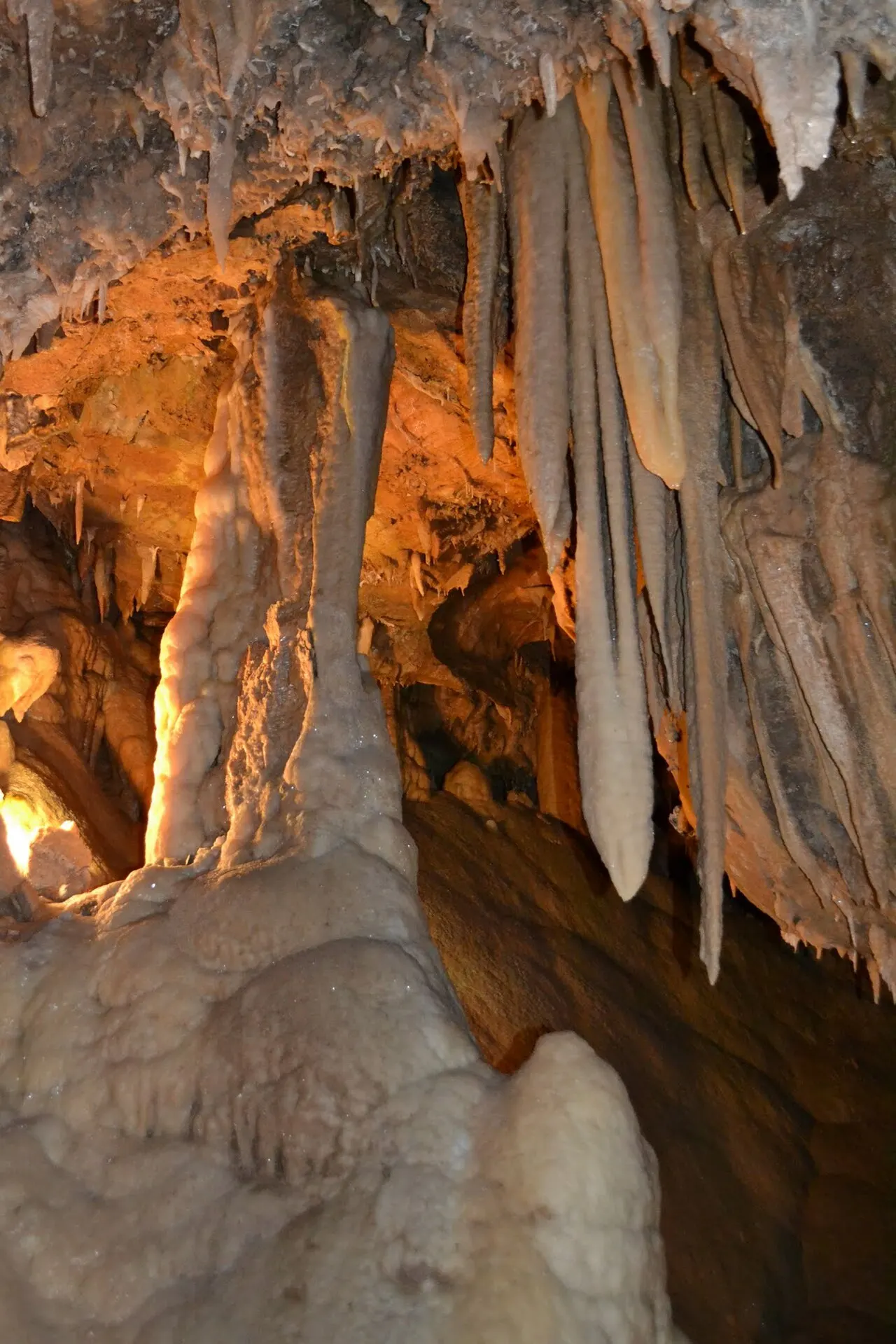 Lake Shasta Caverns, Redding, California, United States