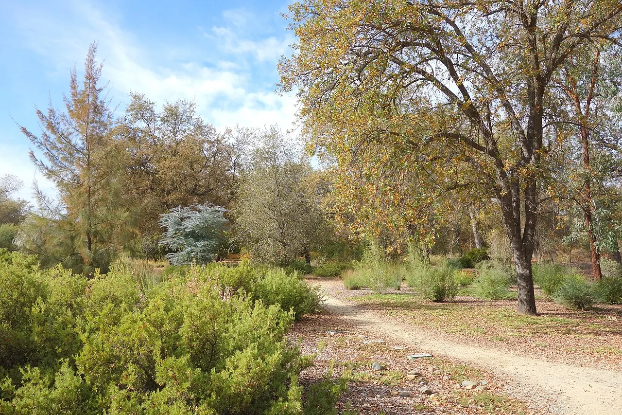 McConnell Arboretum and Botanical Gardens, Redding, California, United States