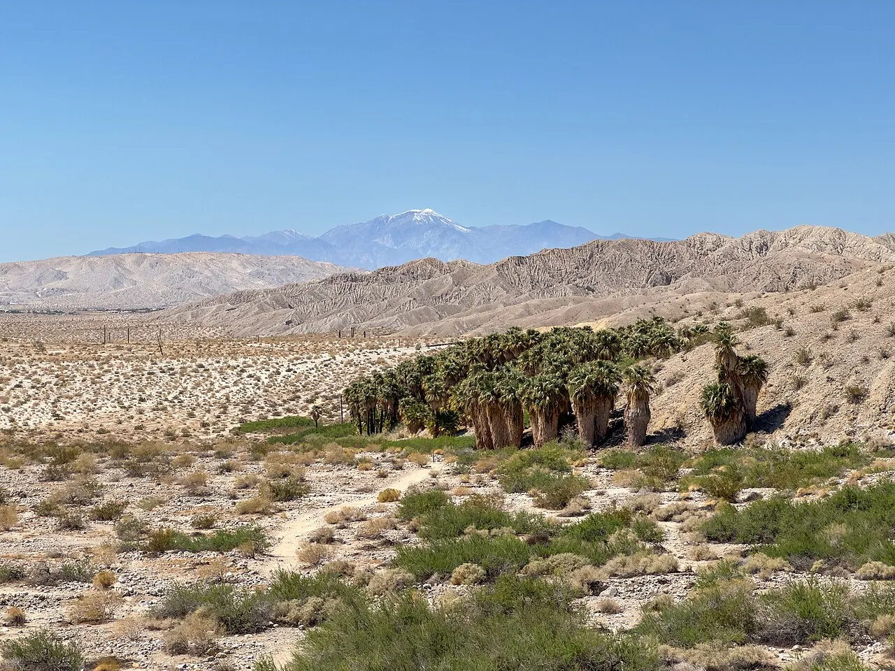 Coachella Valley Preserve, Indio, California, United States