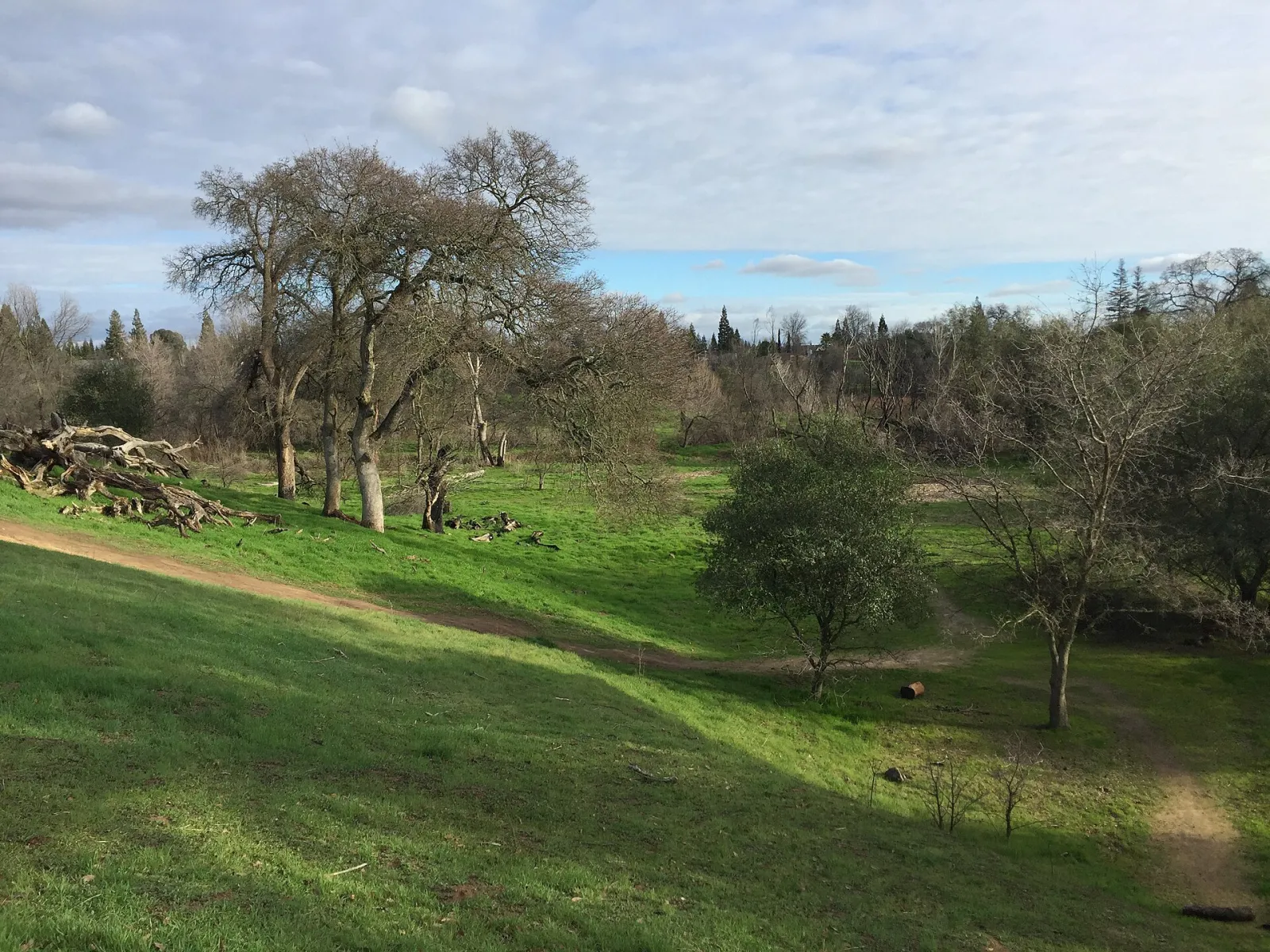 Citrus Heights, California, United States