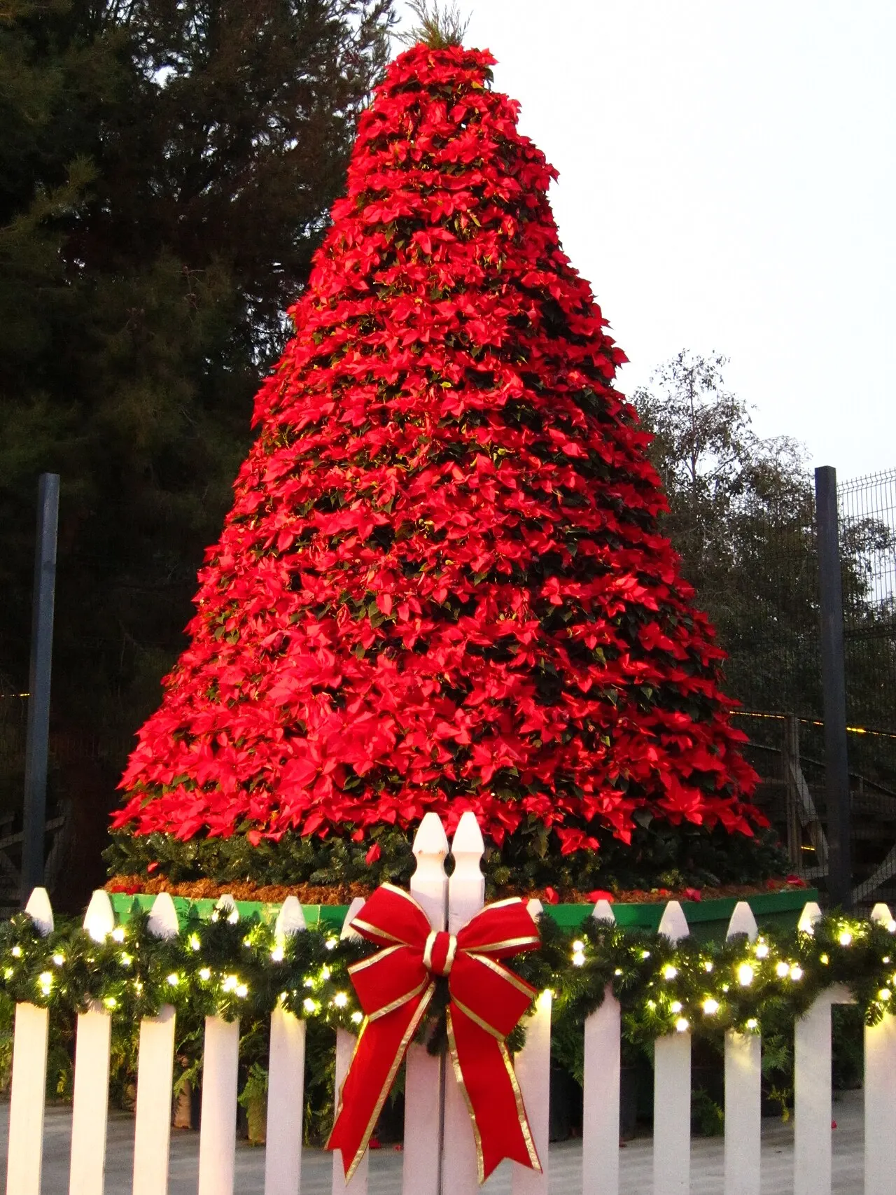 Knott's Berry Farm, Buena Park, California, United States