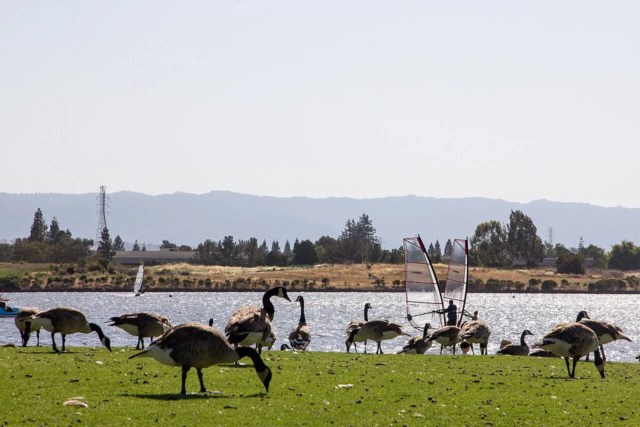 Shoreline at Mountain View, Mountain View, California, United States