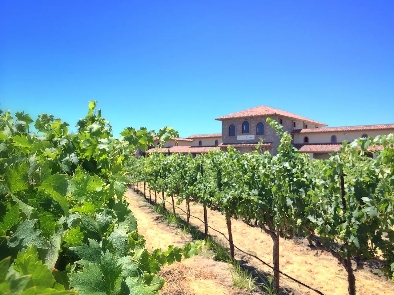 Ruby Hill Winery, Pleasanton, California, United States