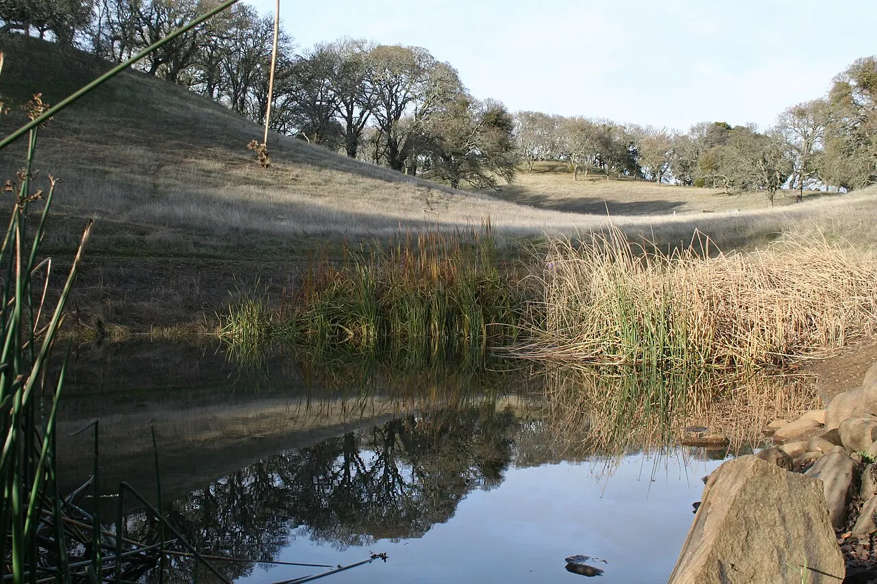 Augustin Bernal Park, Pleasanton, California, United States