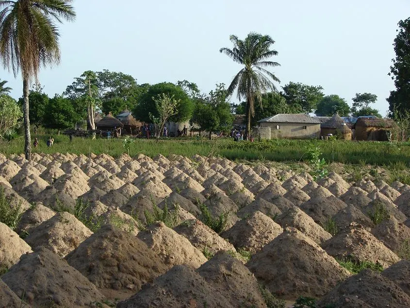 Sokodé, Centrale, Togo
