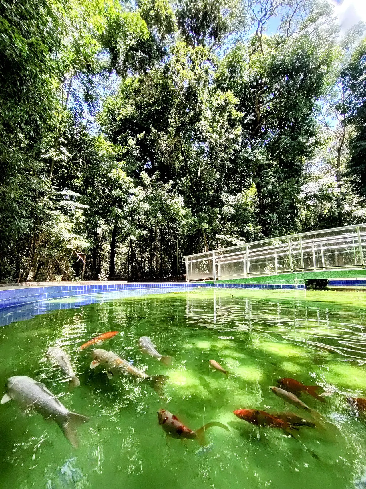 Bosque John Kennedy, Araguari, Minas Gerais, Brazil