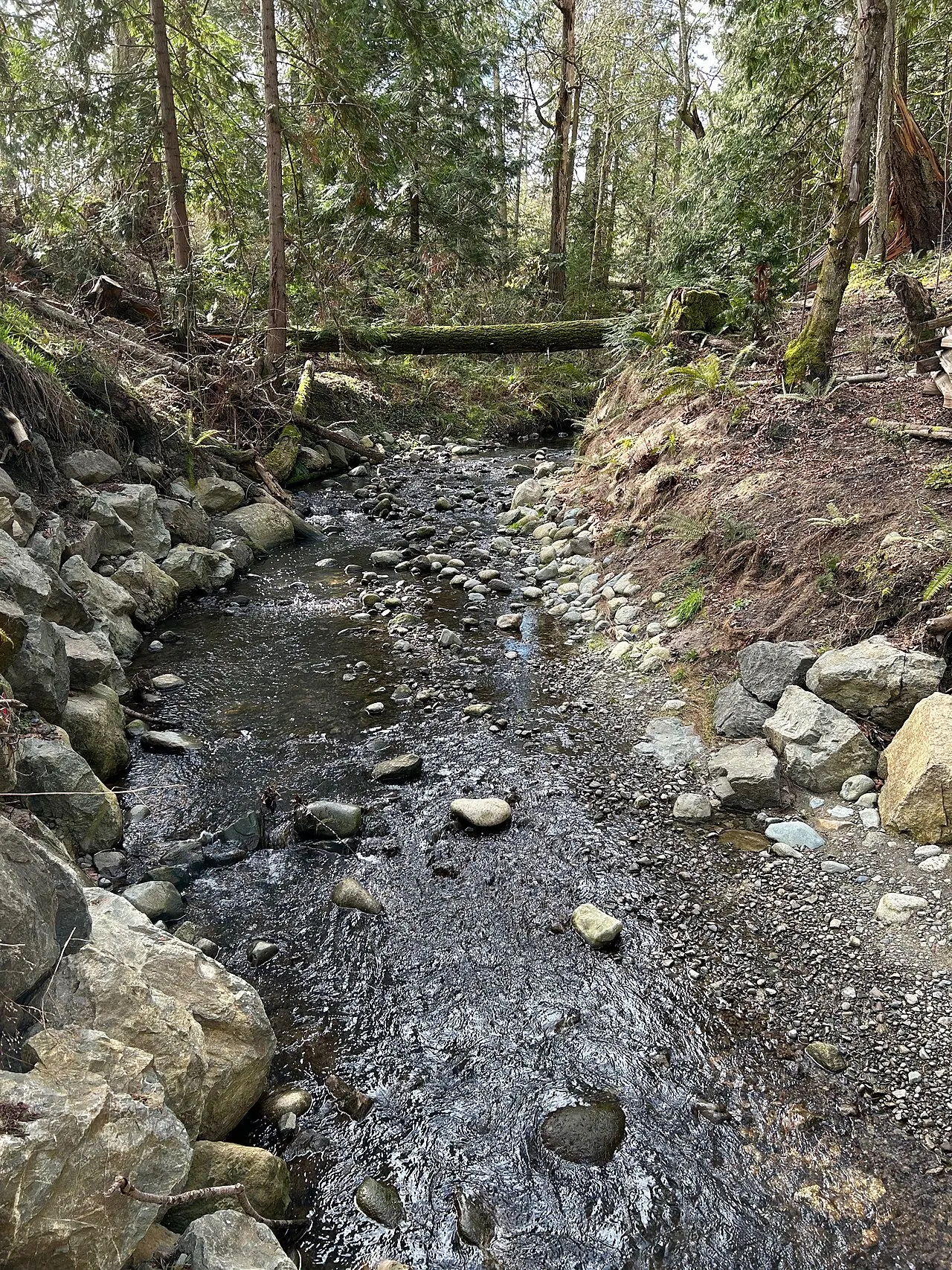 Mount Douglas Park, Saanich, British Columbia, Canada