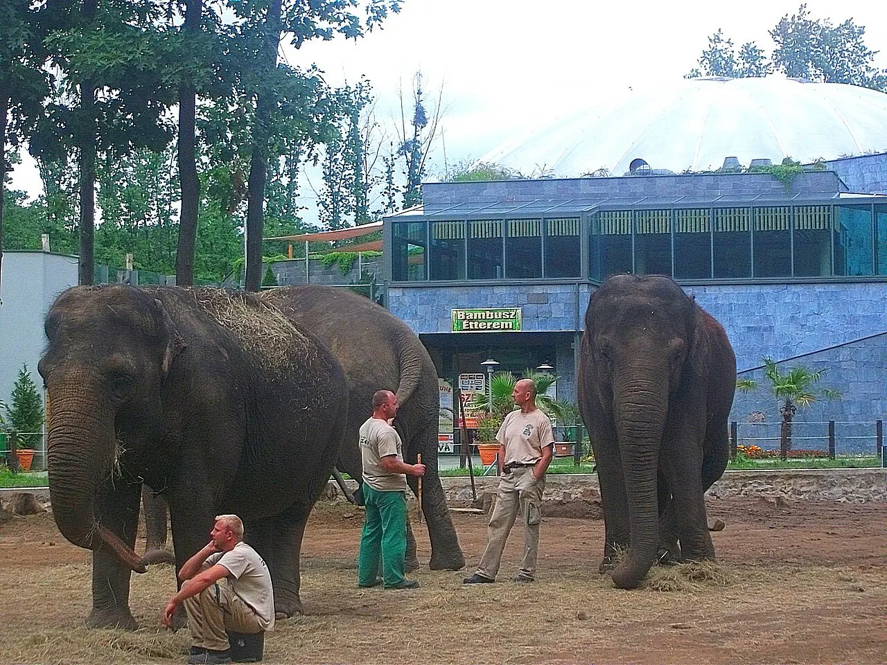 Nyíregyháza Zoo, Nyíregyháza, Szabolcs-Szatmár-Bereg, Hungary