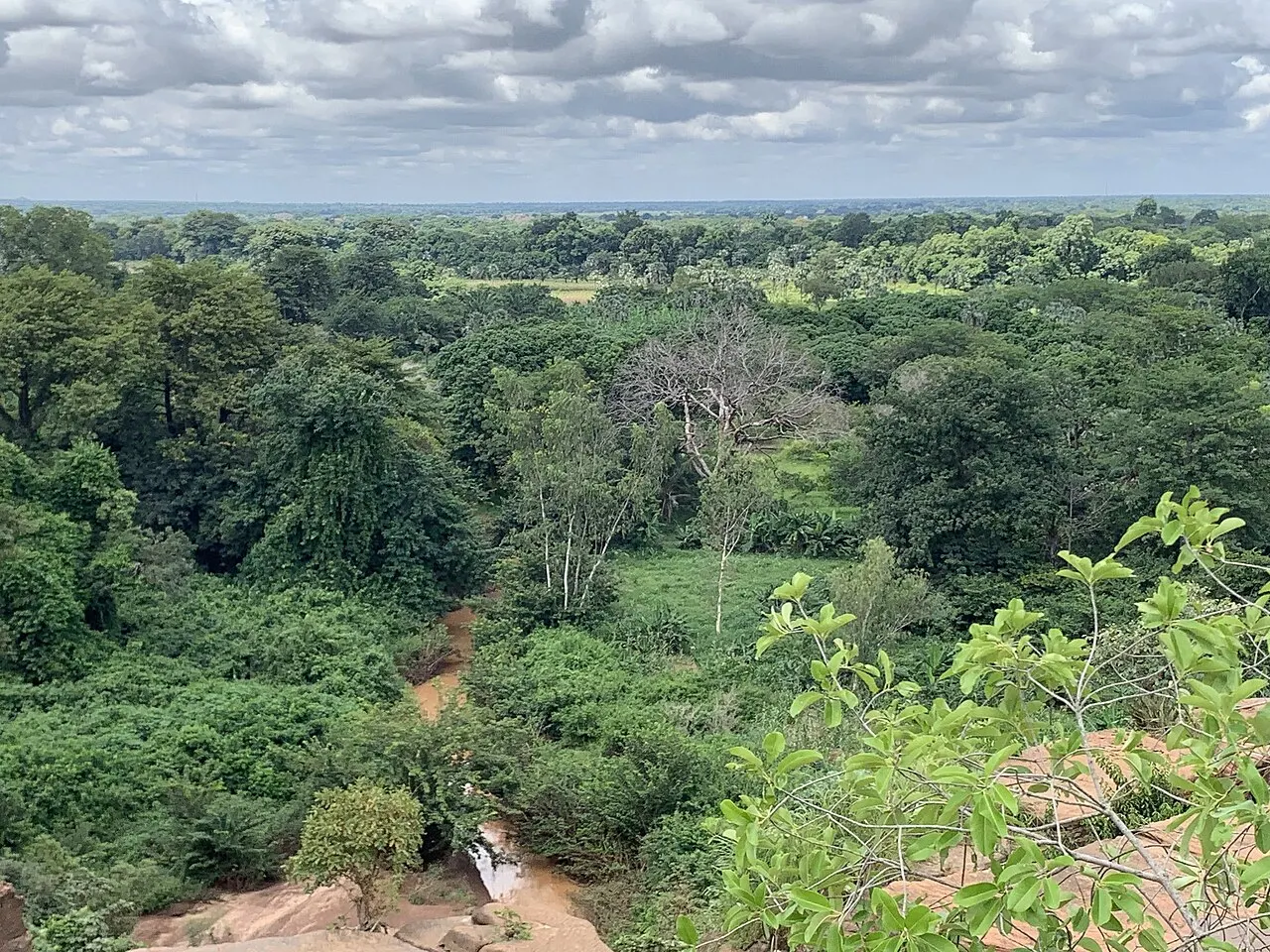 Karfiguéla Sugar Cane Plain, Banfora, Cascades Region, Burkina Faso